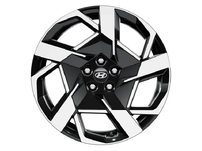 Leichtmetallfelge 20 Zoll (4)