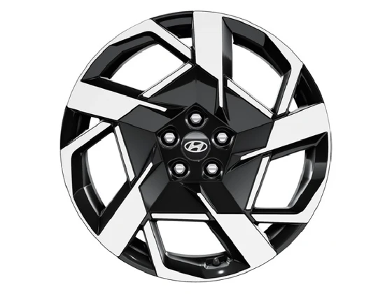 Leichtmetallfelge 20 Zoll (4)