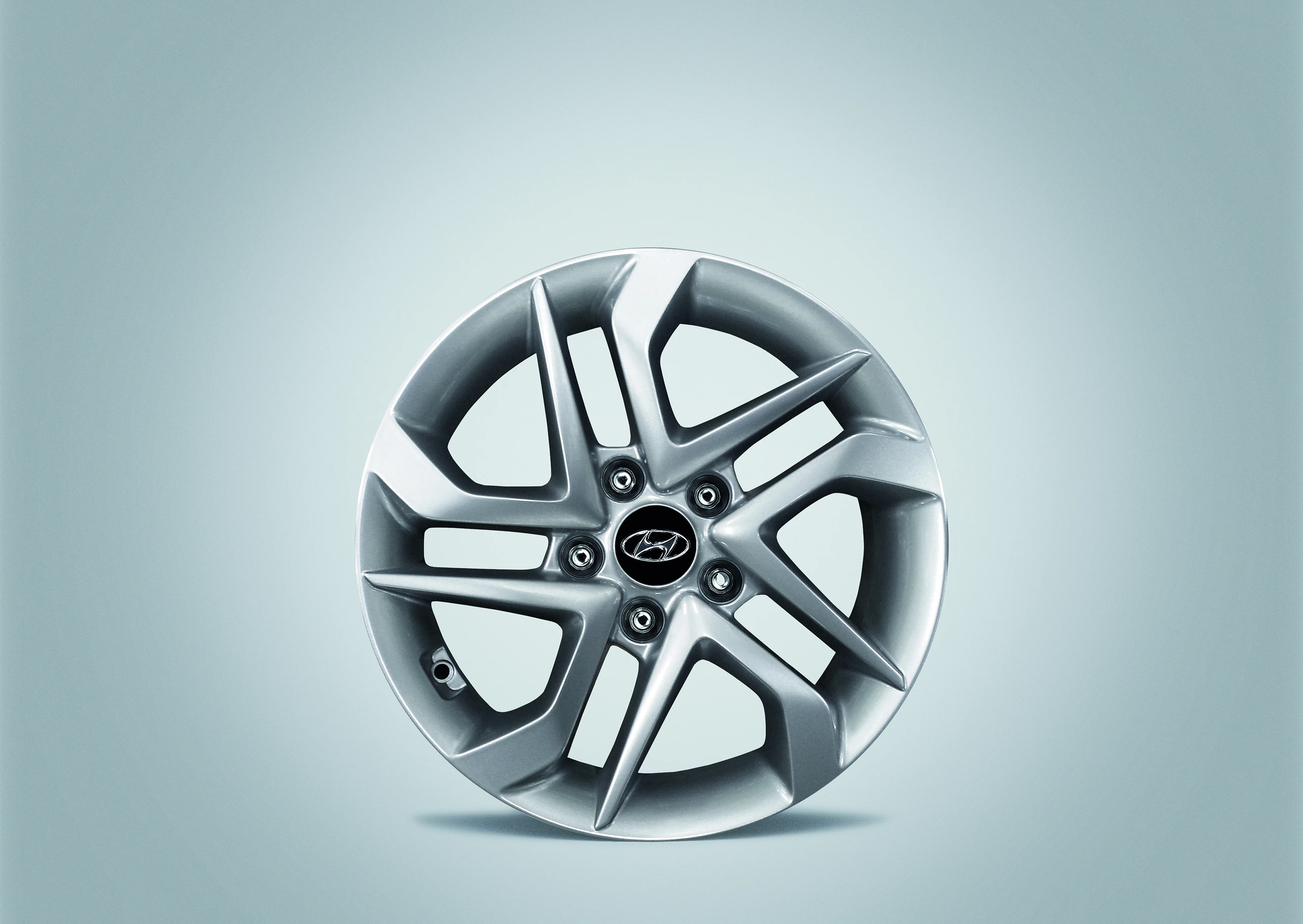 Leichtmetallfelge 16 Zoll (13)