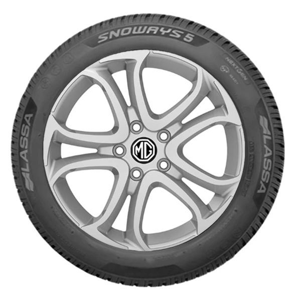 WR Alu 16, LA Snoways 5 195/55 R16 87H, RE