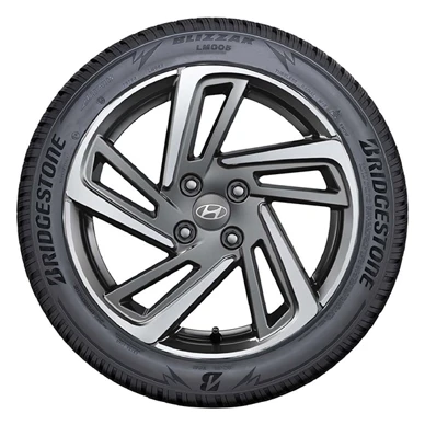 WR Alu 16, BR Blizzak LM005 195/45 R16 84H XL, RE (12)