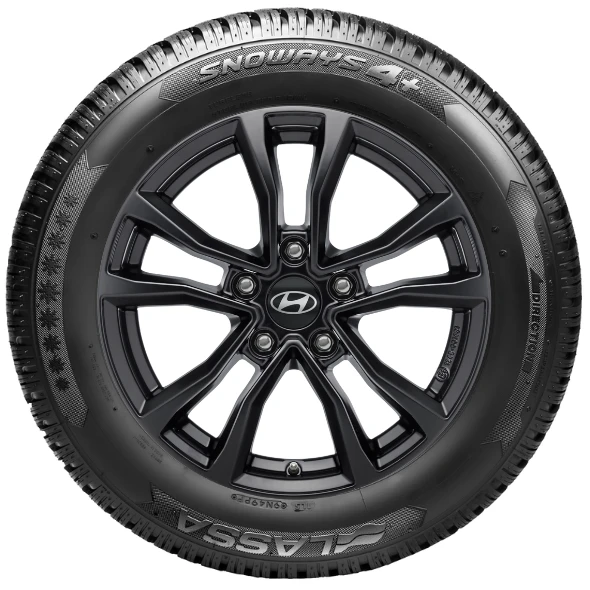 WR Alu 16, Lassa Snoways 4+ 205/55 R16 91H, LI (1)
