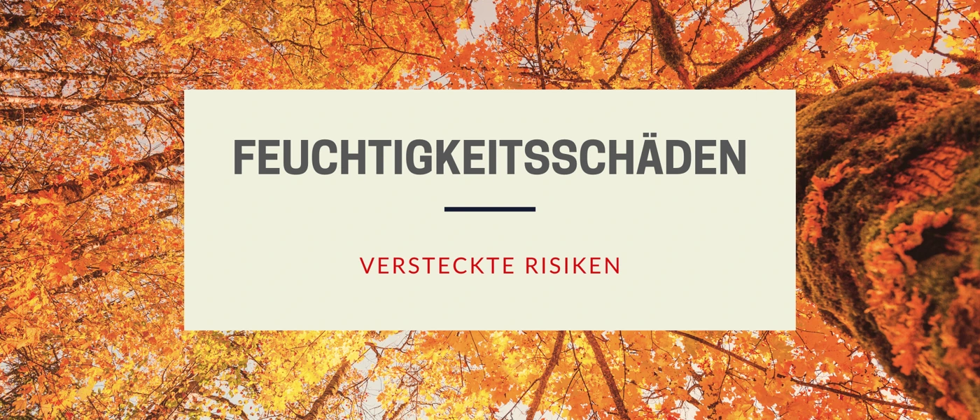Laub & Feuchtigkeit Blog Banner